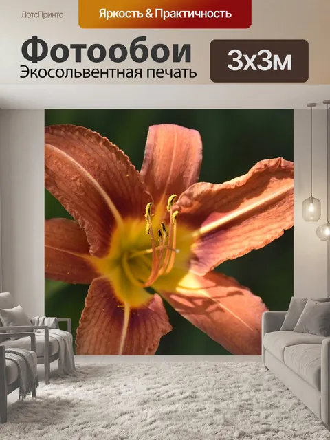 Фотообои Цветок