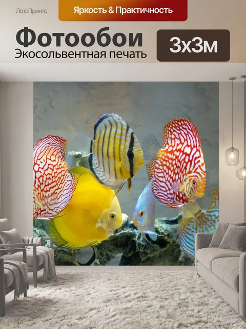 Фотообои Дискус
