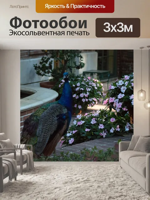 Фотообои Павлин