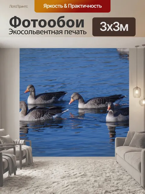 Фотообои Гуси