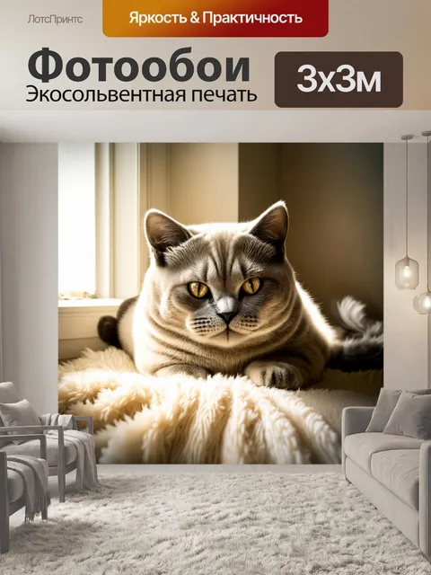 Фотообои восходящее солнце освещает уютный уголок в комнате, где британская короткошерстная кошка лежит на мягком пледе