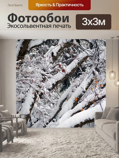 Фотообои Снег