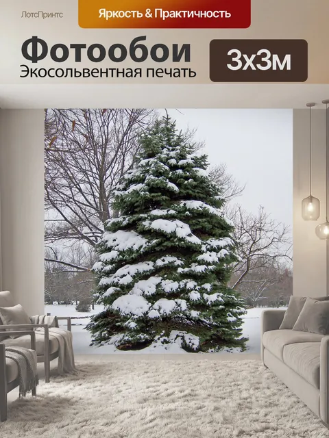 Фотообои Вечнозеленый
