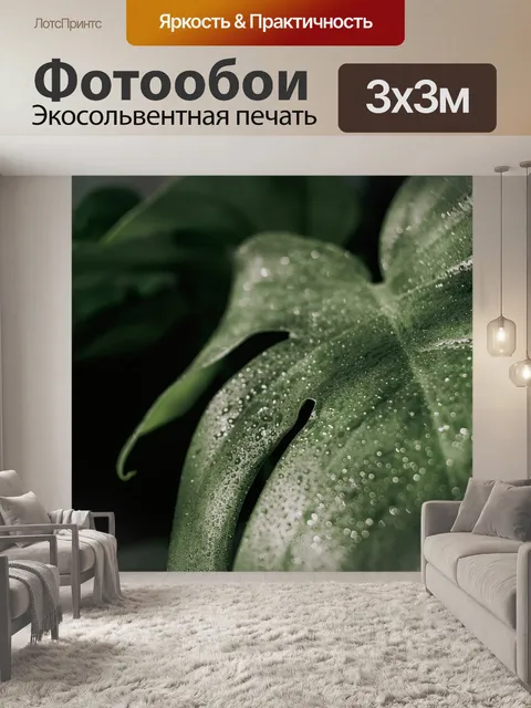 Фотообои Монстера