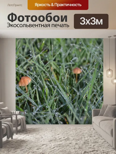 Фотообои Грибы