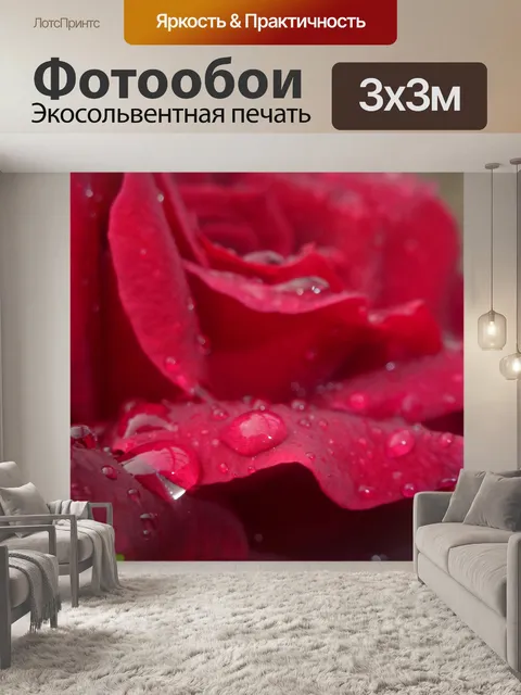 Фотообои красная роза 1