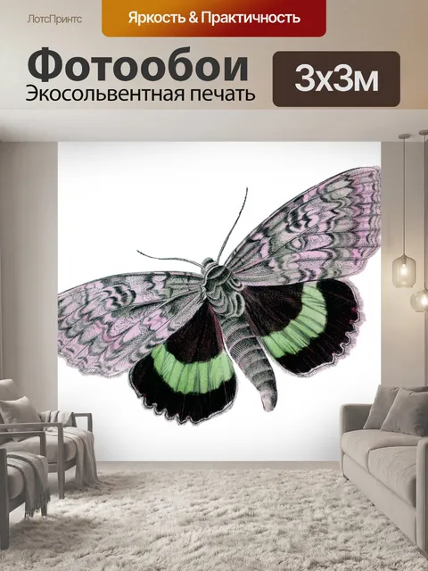 Фотообои Клипарт Винтажная бабочка