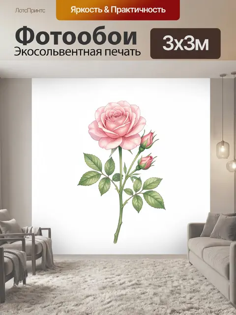 300 × 300 см · Экосольвентная печать