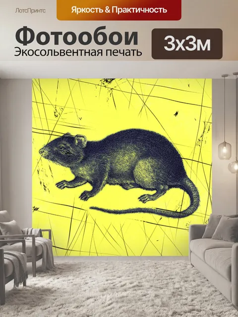 Фотообои крыса