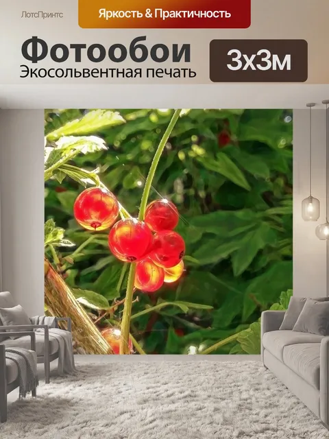 Фотообои Красная смородина