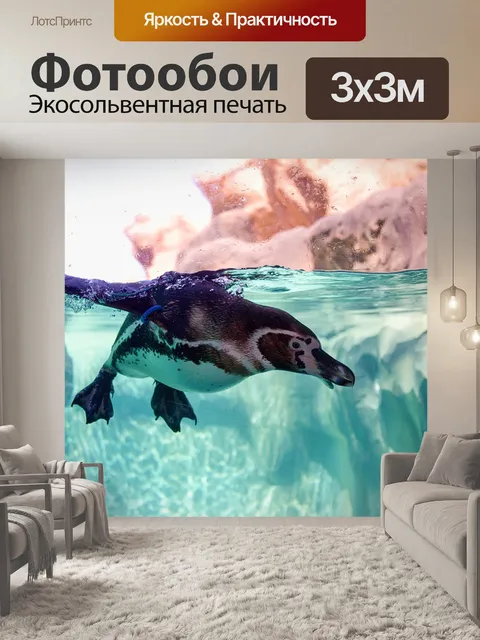 Фотообои Пингвин