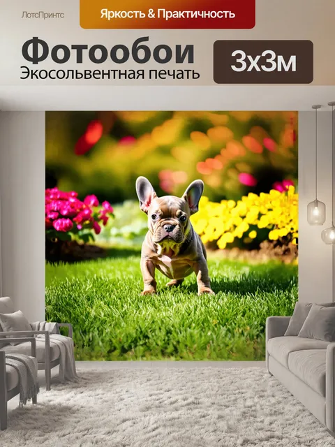 Фотообои маленький французский бульдог щенок играет на зеленой траве парка, его ушки трепещут от ветерка
