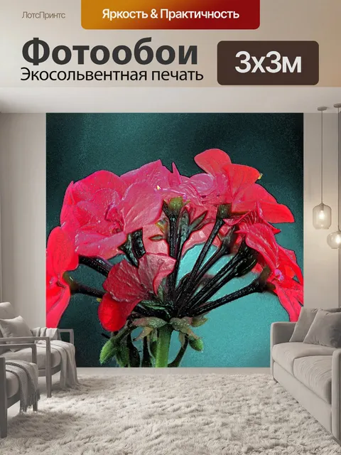 Фотообои красный цветок герани в саду