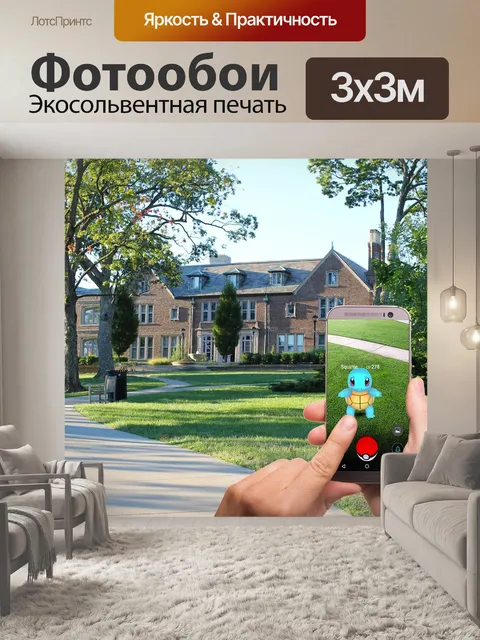 Фотообои Покемон идут