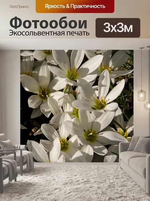 Фотообои Лилия дождя