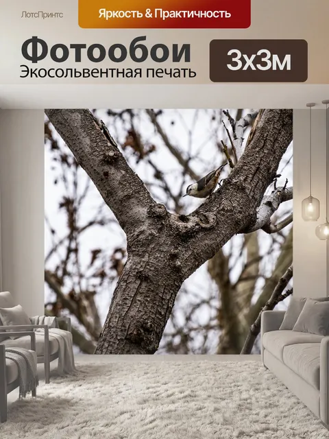 Фотообои Маленькая серая птица на ветке дерева