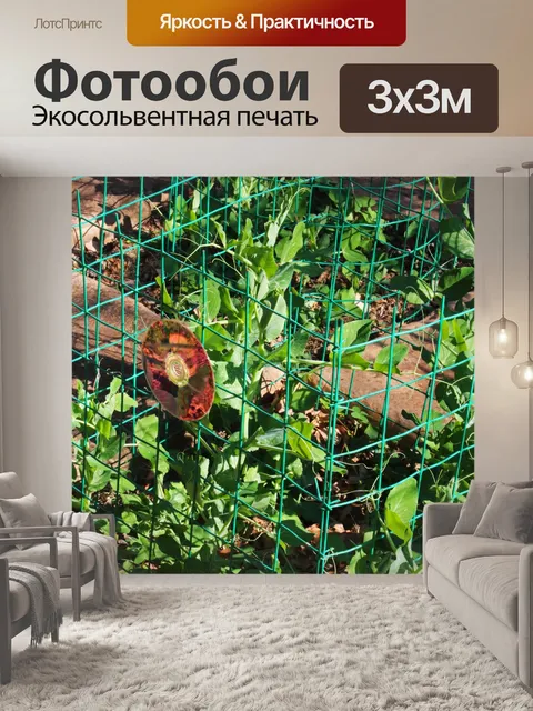 Фотообои зеленый горошек, растущий внутри забора