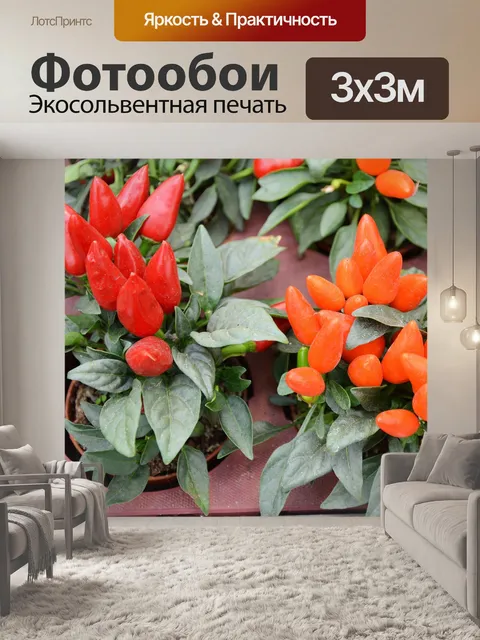 Фотообои Комнатные цветы 11