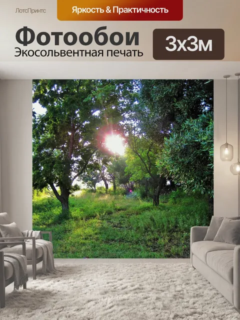 Фотообои Восход солнца