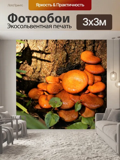 Фотообои Грибы Джек-О-Фонарь