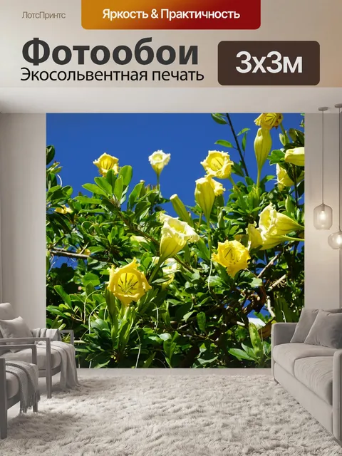 Фотообои Дурман