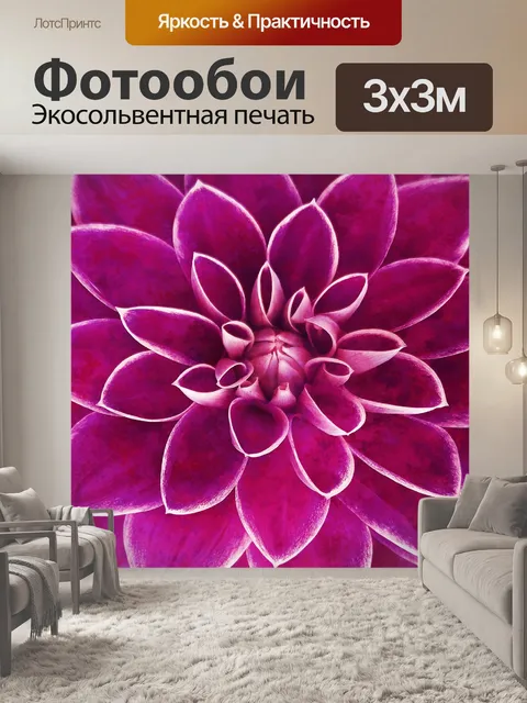 Фотообои Цветок георгина цветок розовый