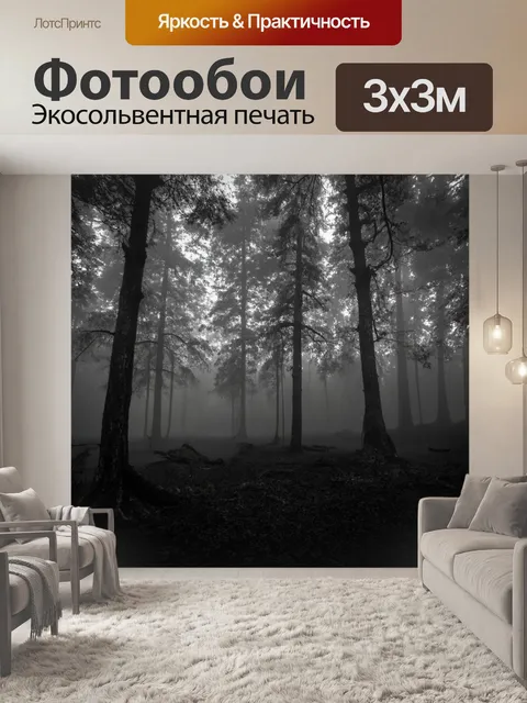 Фотообои туман в стиле рисунок углём, таинственный лес с густым туманом и силуэтами деревьев