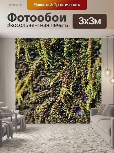 Фотообои Водоросли