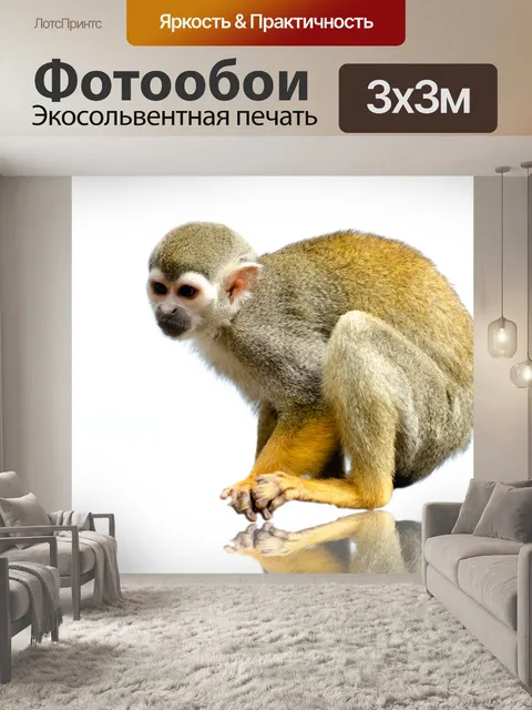 Фотообои Животное
