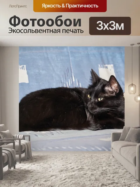 Фотообои Черная кошка
