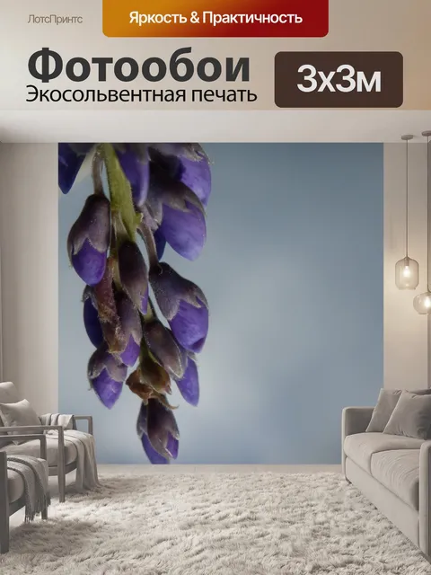 Фотообои Глициния Почки