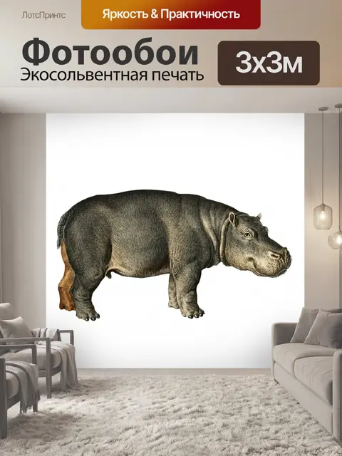 Фотообои Бегемот животных старинный плакат