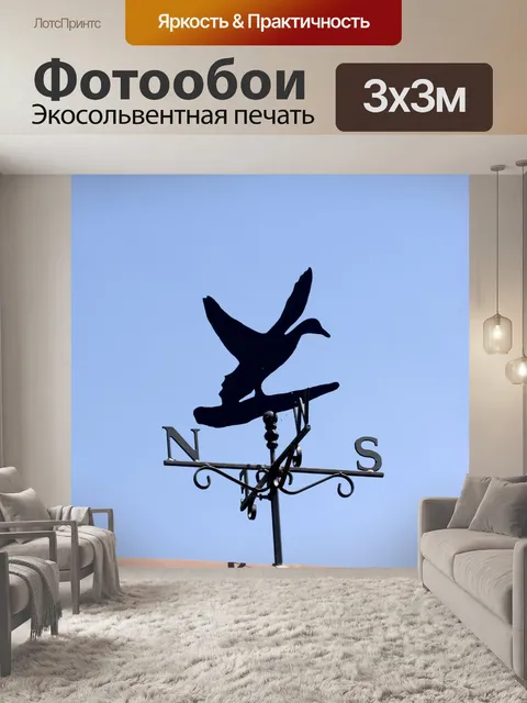 Фотообои Индикатор Ветер