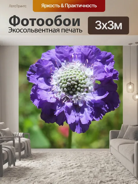 Фотообои Фиолетовый цветок