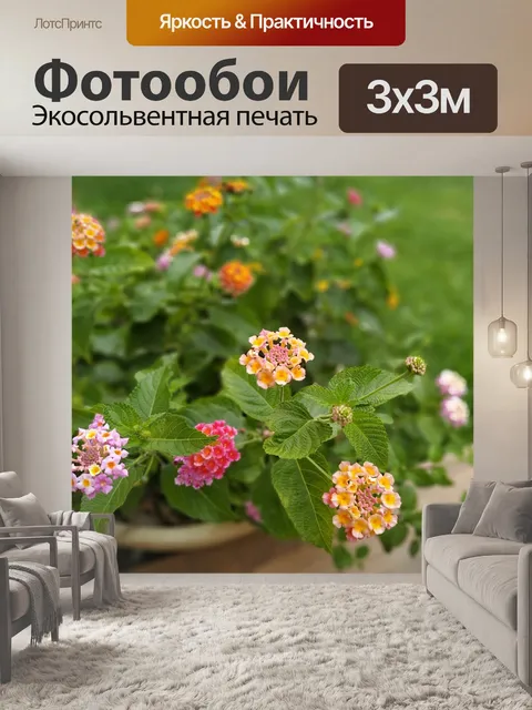 Фотообои Цветы