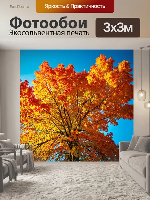 Фотообои коричневое осеннее дерево, покрытое яркими оранжевыми и желтыми листьями, против синего неба