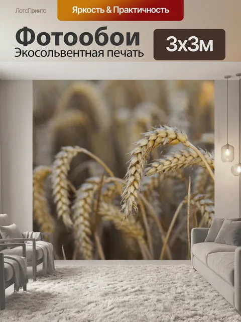 Фотообои Рожь пшеничная урожая ячменя