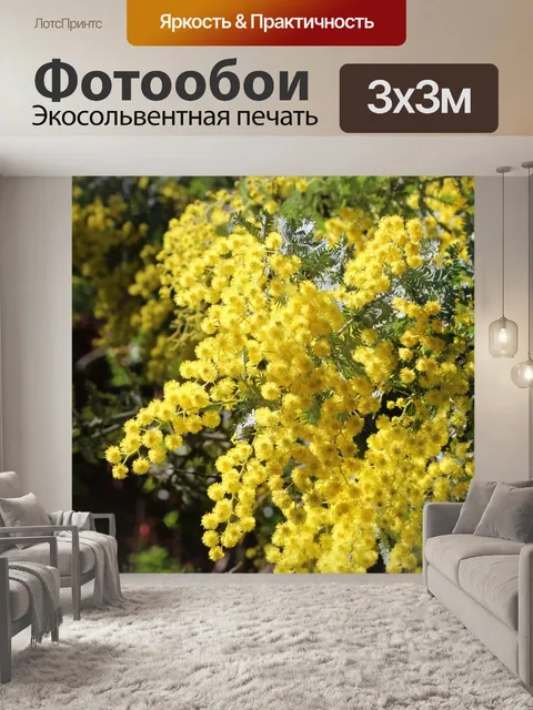 Фотообои Естественный фон