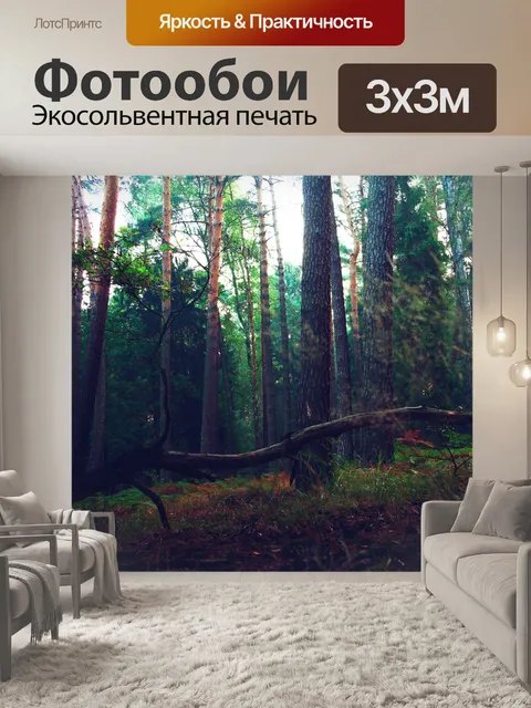 Фотообои Лес