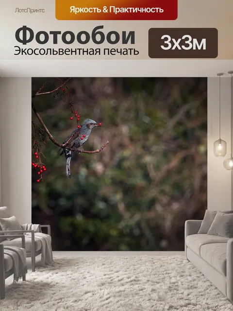 Фотообои Птица
