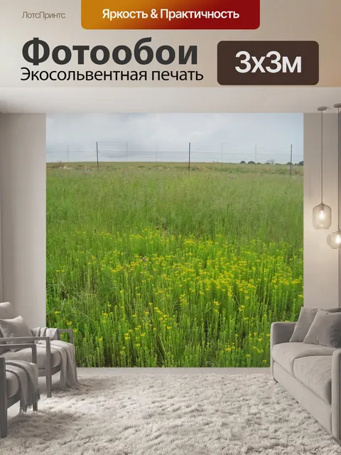 Фотообои Желтые полевые цветы на лугах