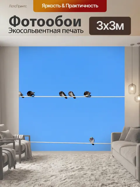 Фотообои Птицы