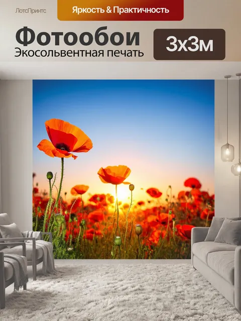 Фотообои с маками на фоне живописного заката