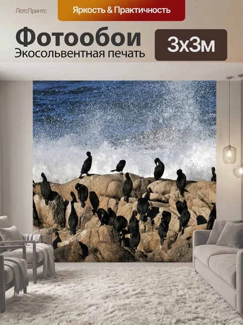 Фотообои Бакланы и море