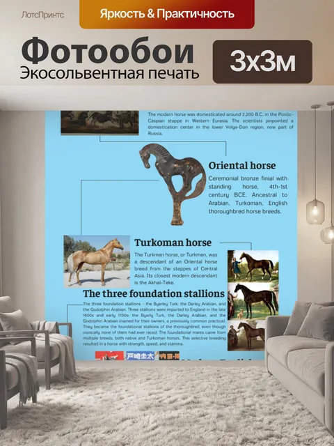 Фотообои История английской чистокровки