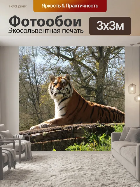 Фотообои Большой кот