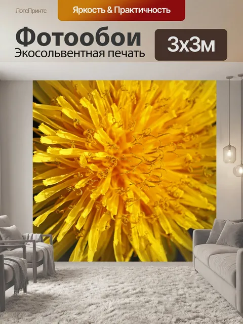 Фотообои вид на ярко-желтый одуванчик
