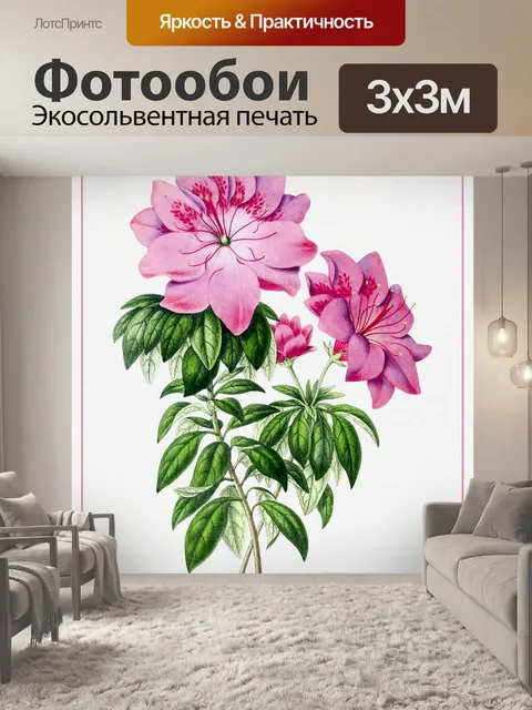 Фотообои Цветок лилии розовый винтаж