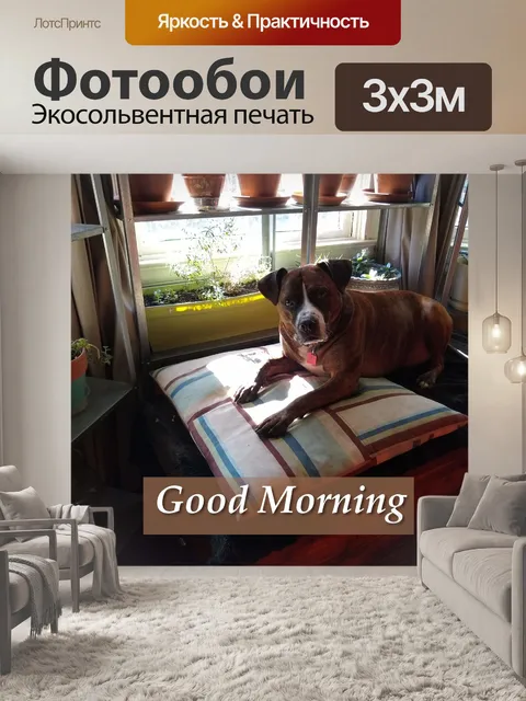 Фотообои Доброе утро
