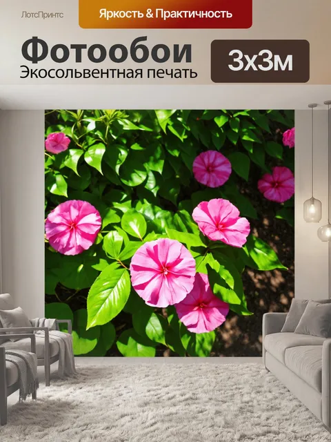 Фотообои с розовыми цветами в саду, окружёнными зелеными листьями и тенями, создающими атмосферу спокойствия